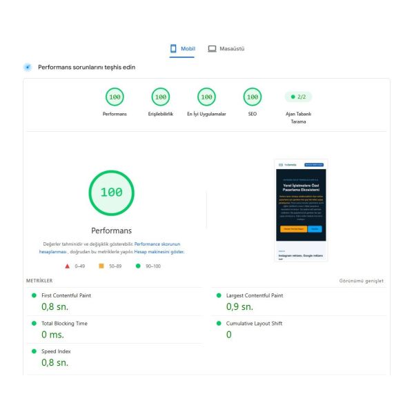 Google PageSpeed Insights - 100/100 Performans skoru